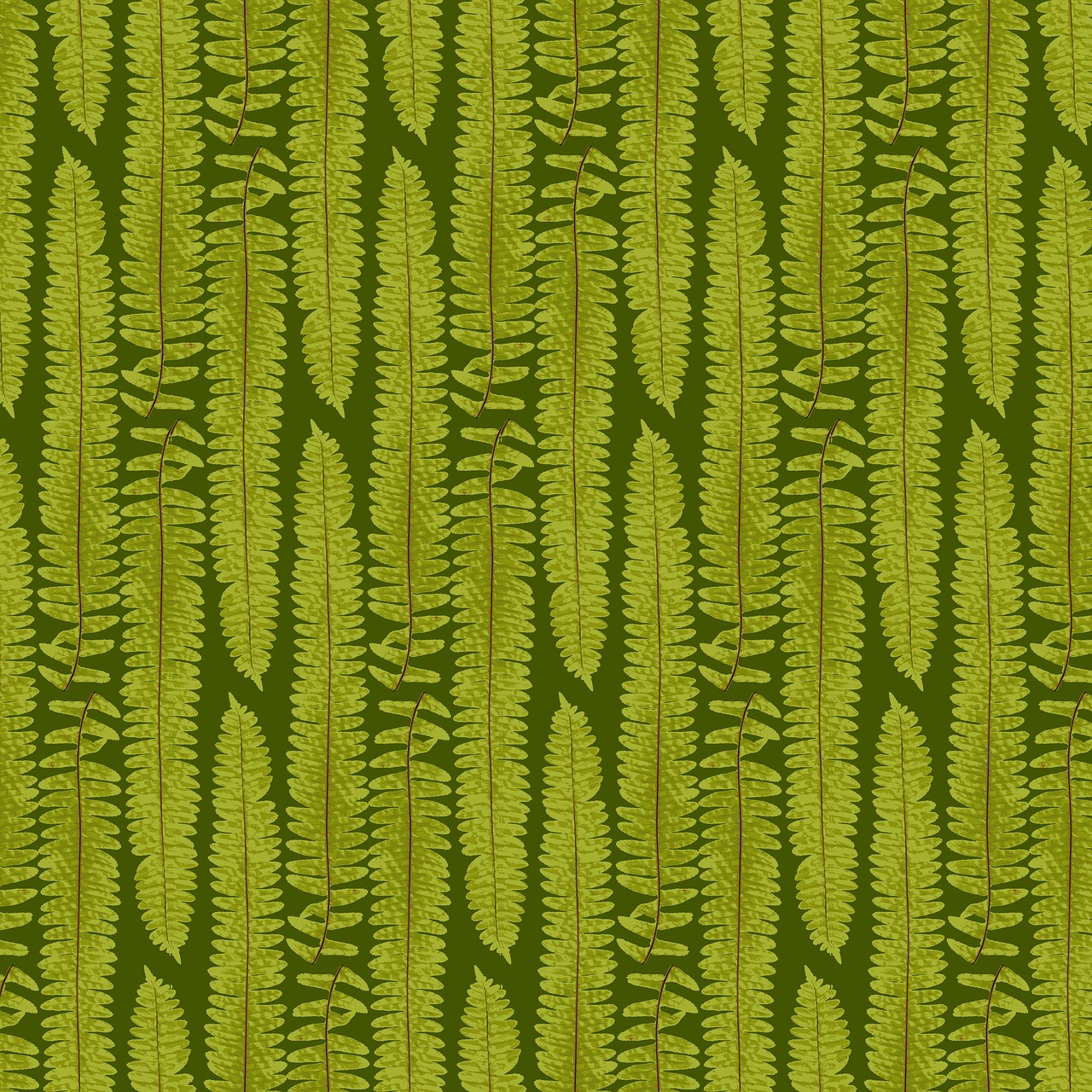 fern  texture  nature free photo