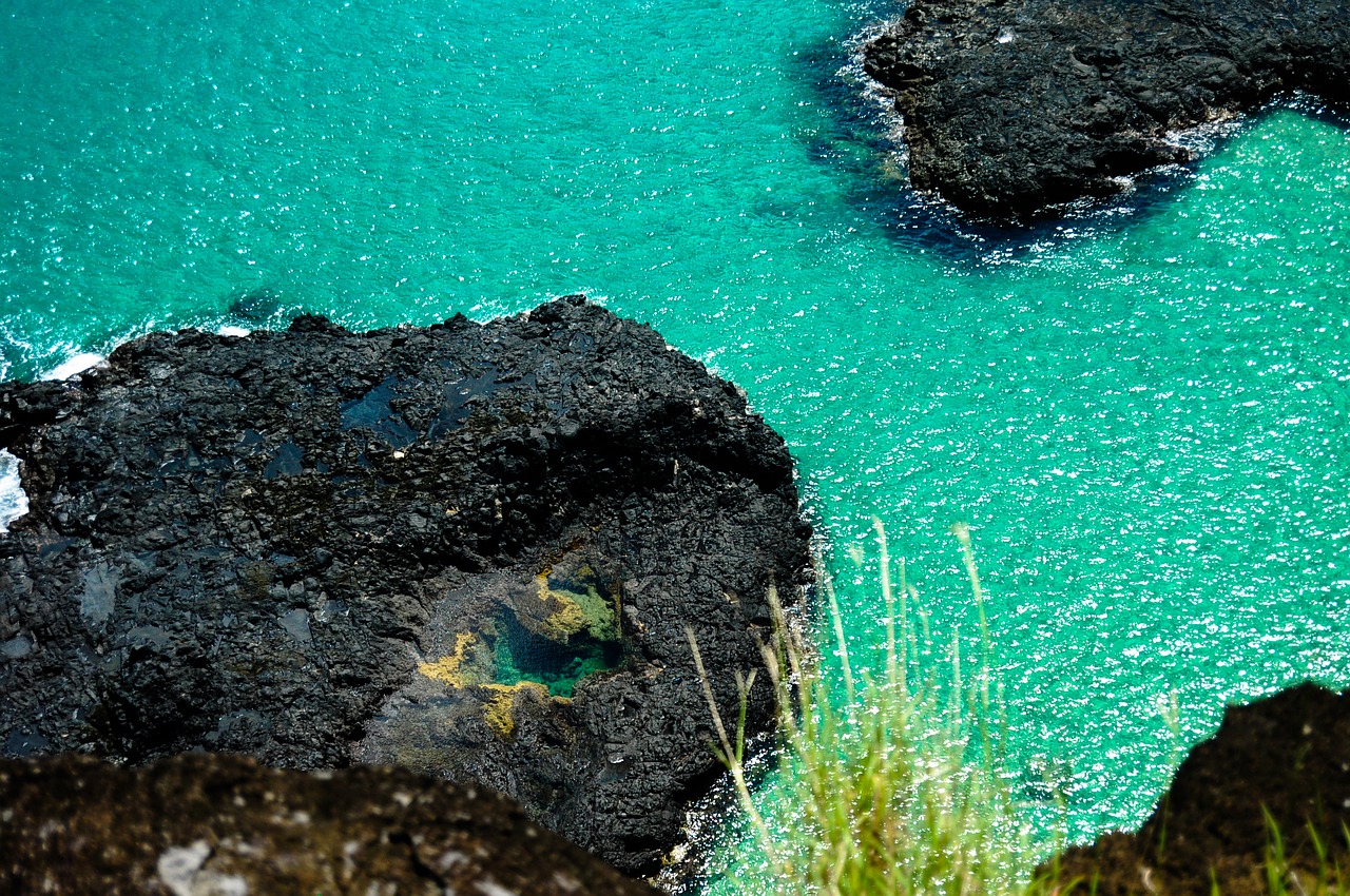 fernando of noronha free photo