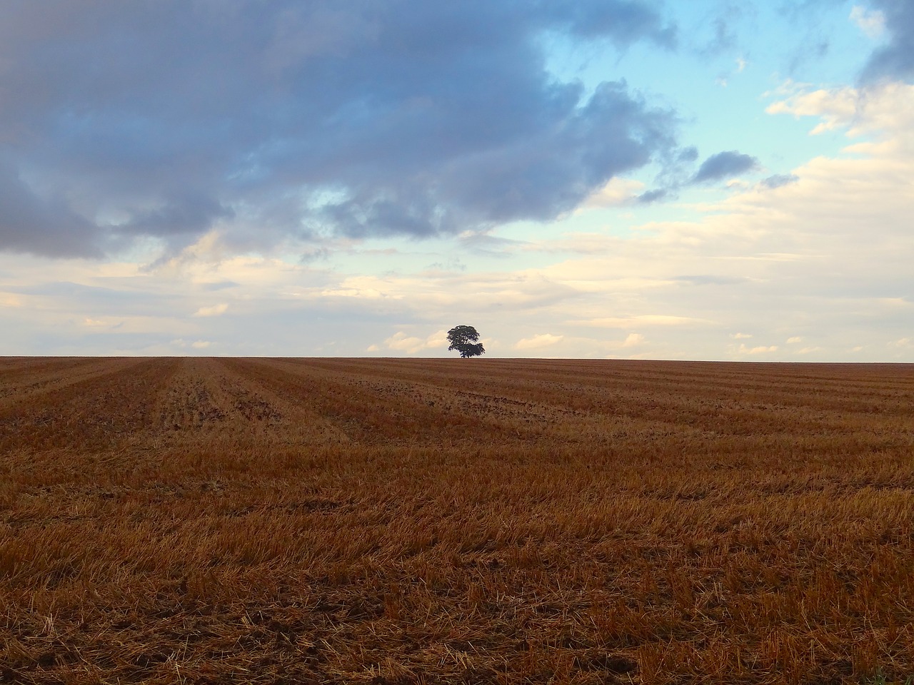 ferragosto nature campaign free photo