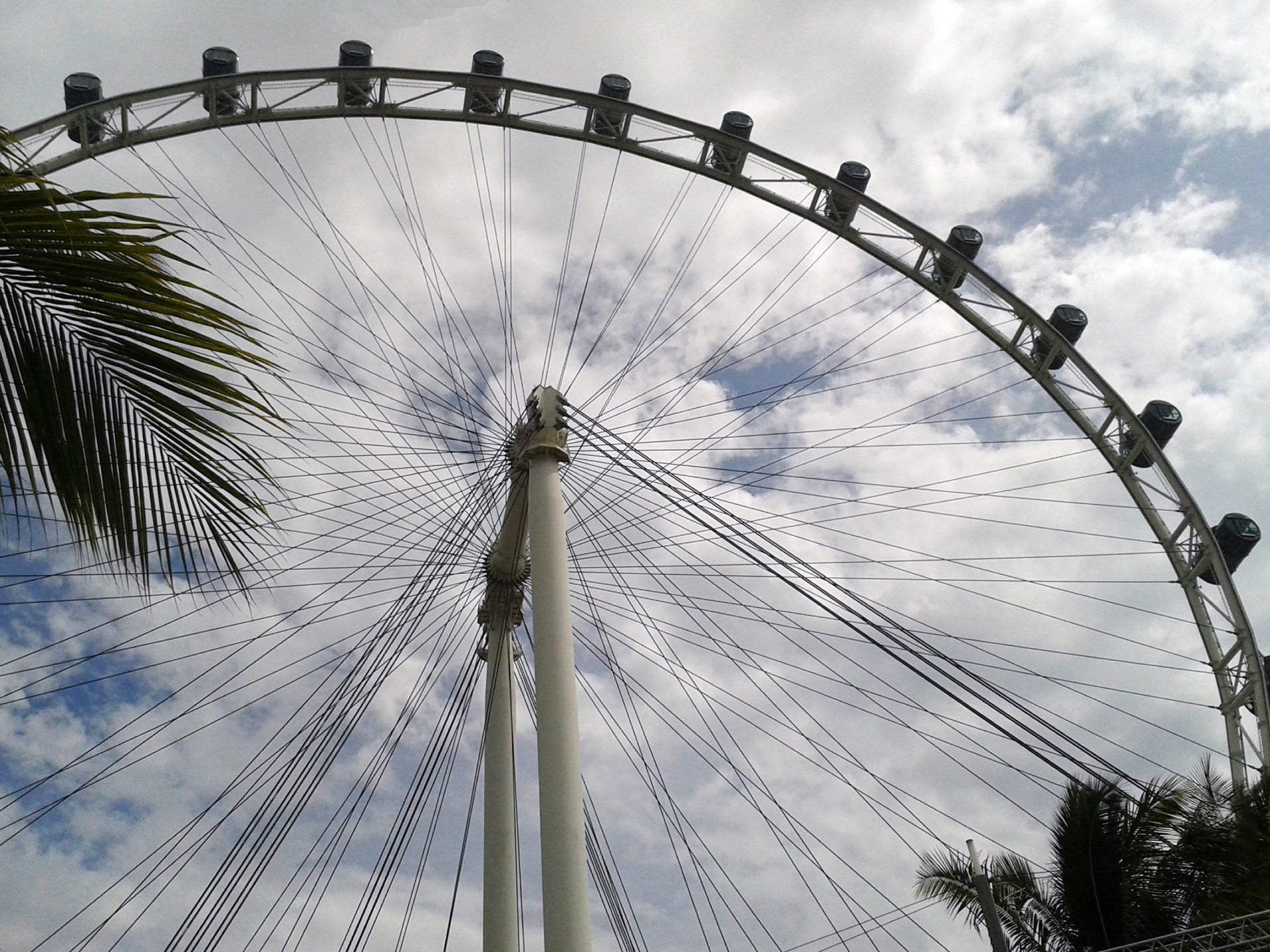 ferries wheel park amusement park free photo