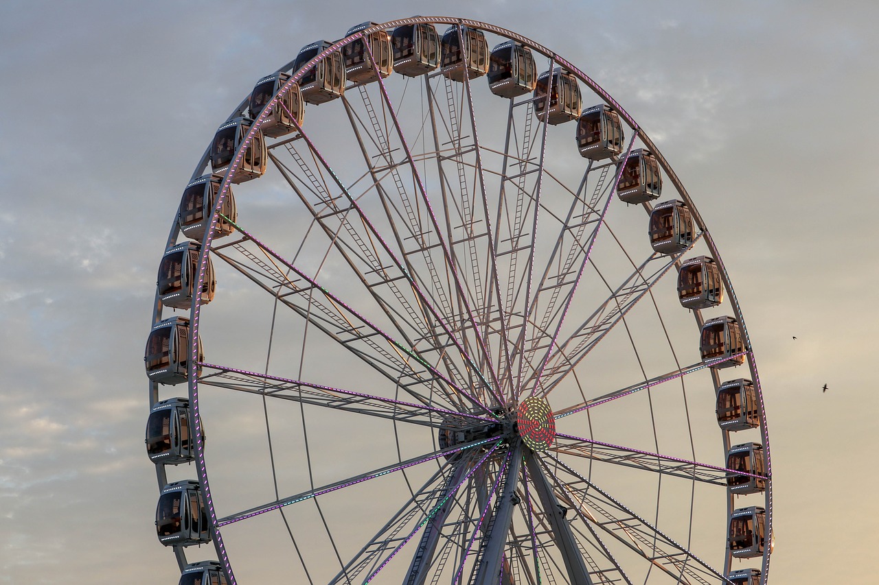 ferris  wheel  fair free photo