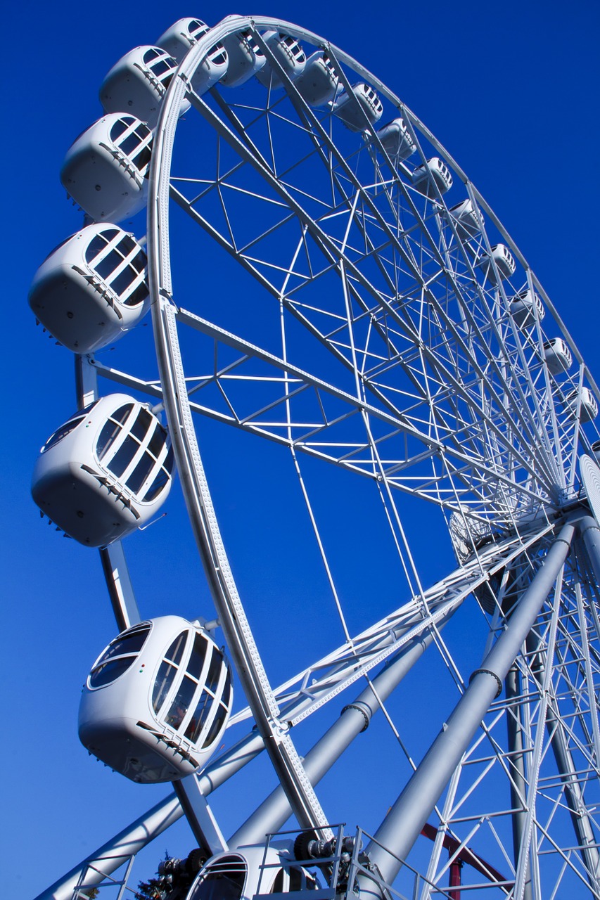 ferris wheel summer park free photo