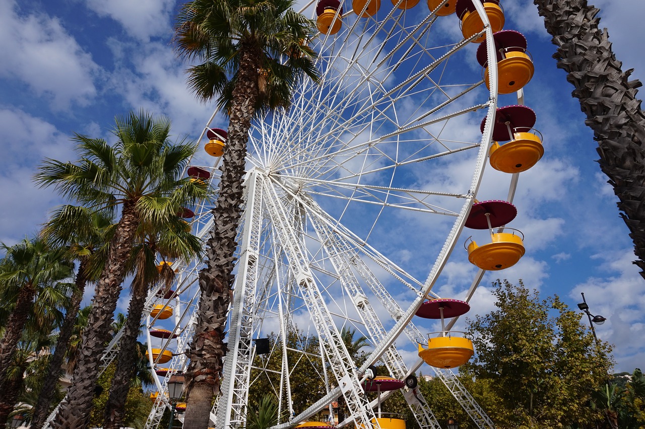 ferris wheel palm trees mediterranean free photo