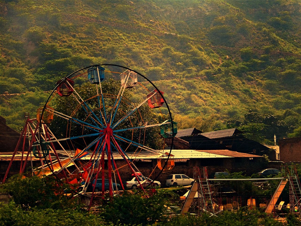 ferris wheel park greenery free photo