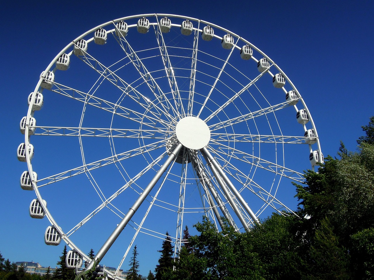 ferris wheel amusement park carousel free photo