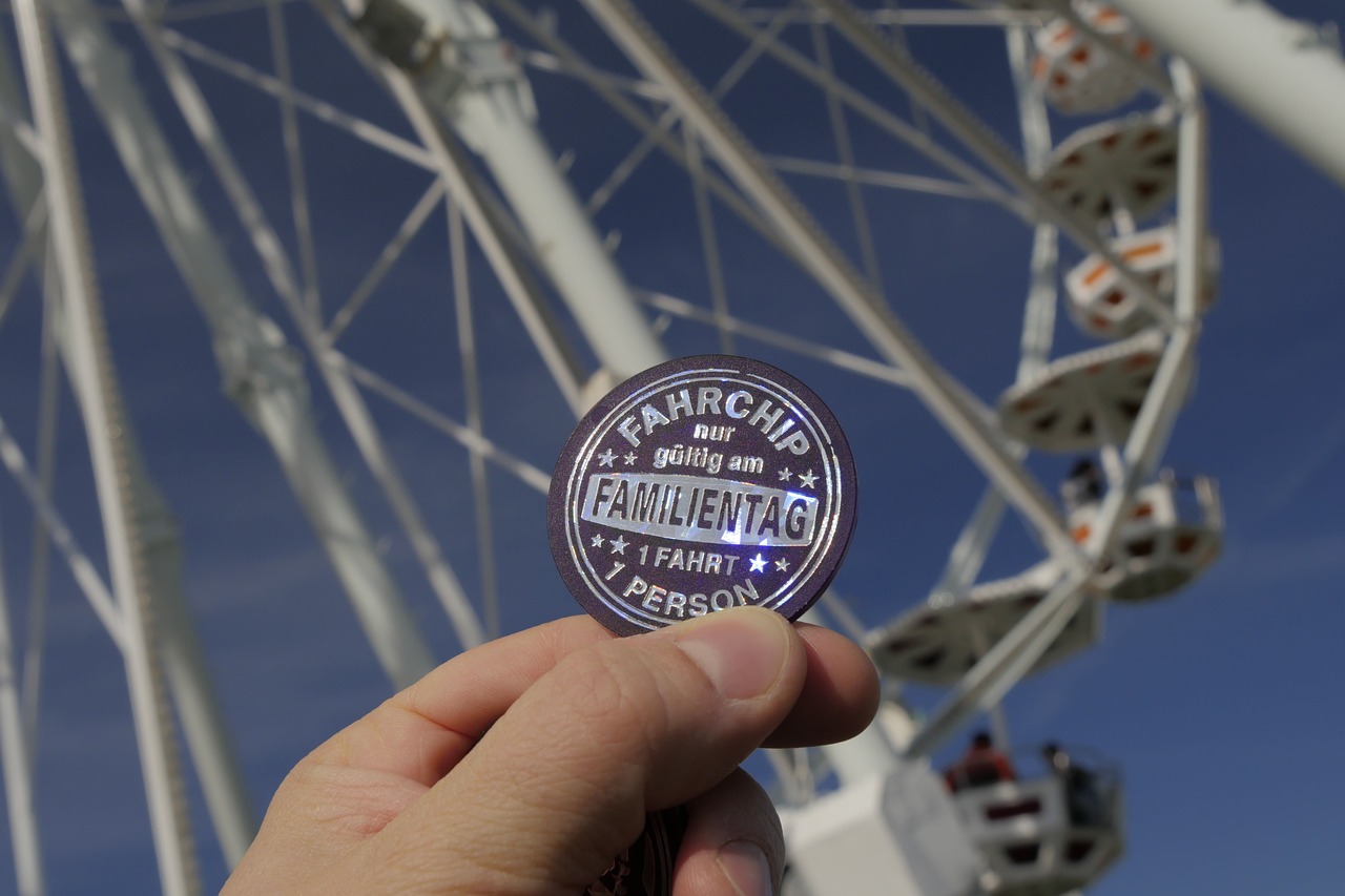 ferris wheel ride driving chip free photo