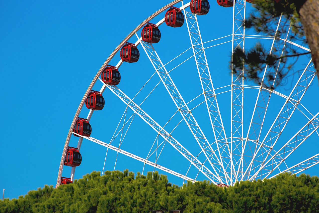 ferris wheel theme park attraction free photo