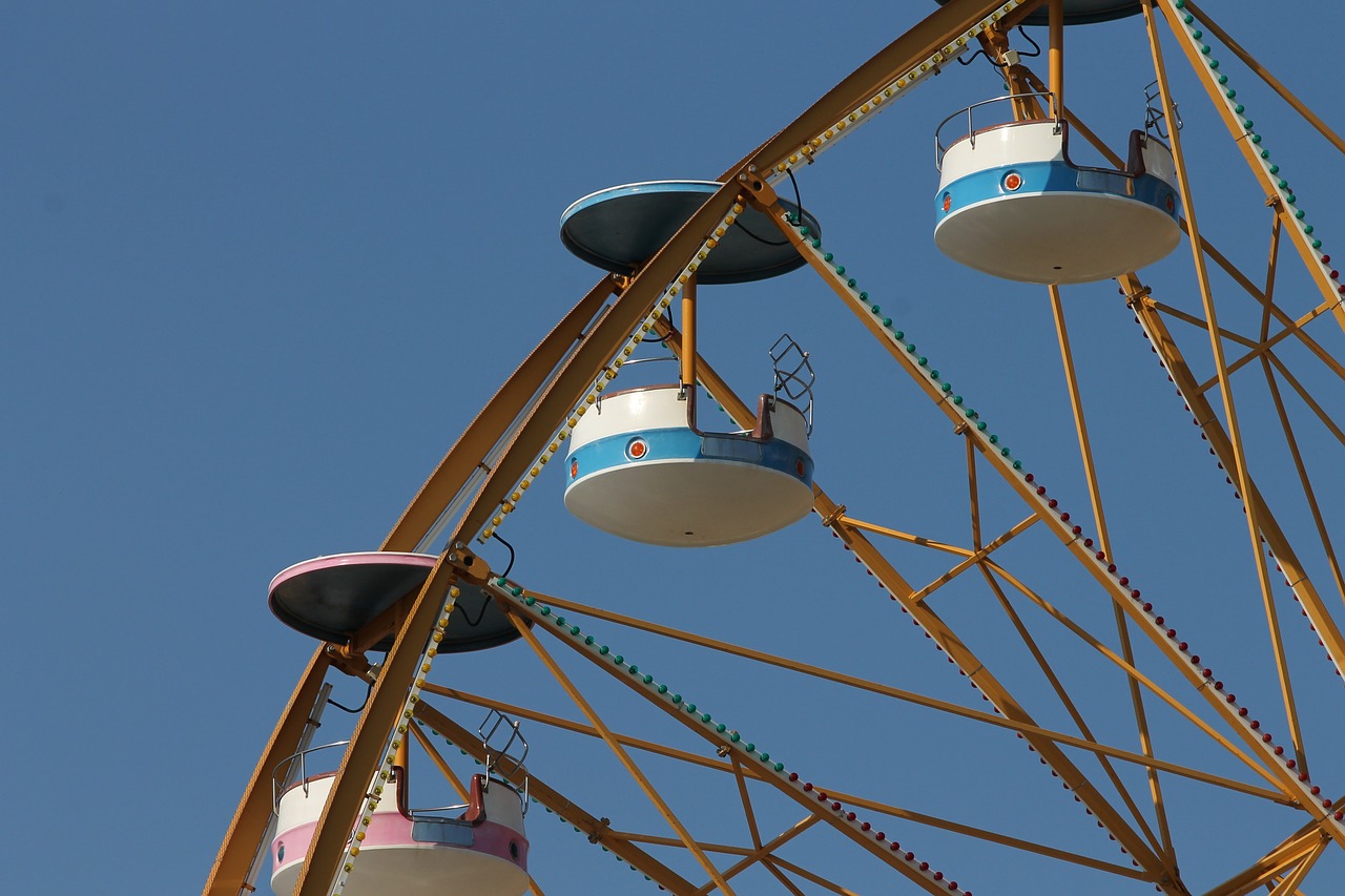 ferris wheel  pleasure  year market free photo