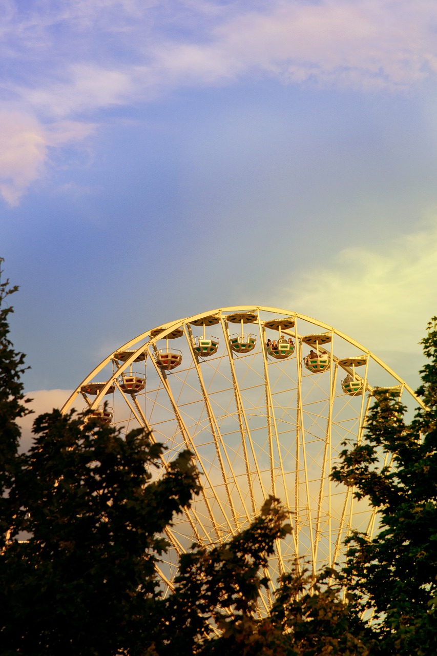 ferris wheel theme park pleasure free photo