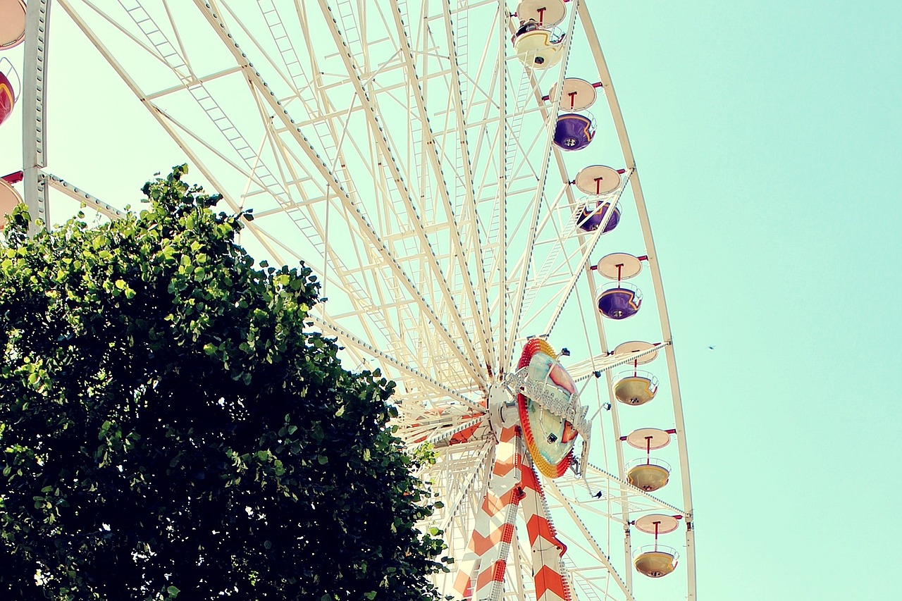 ferris wheel carousel year market free photo