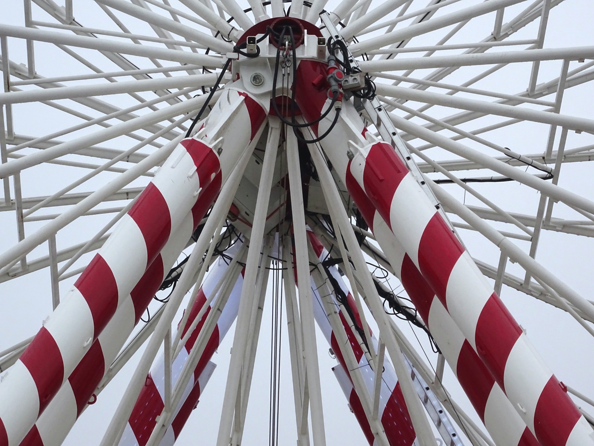 ferris big wheel free photo