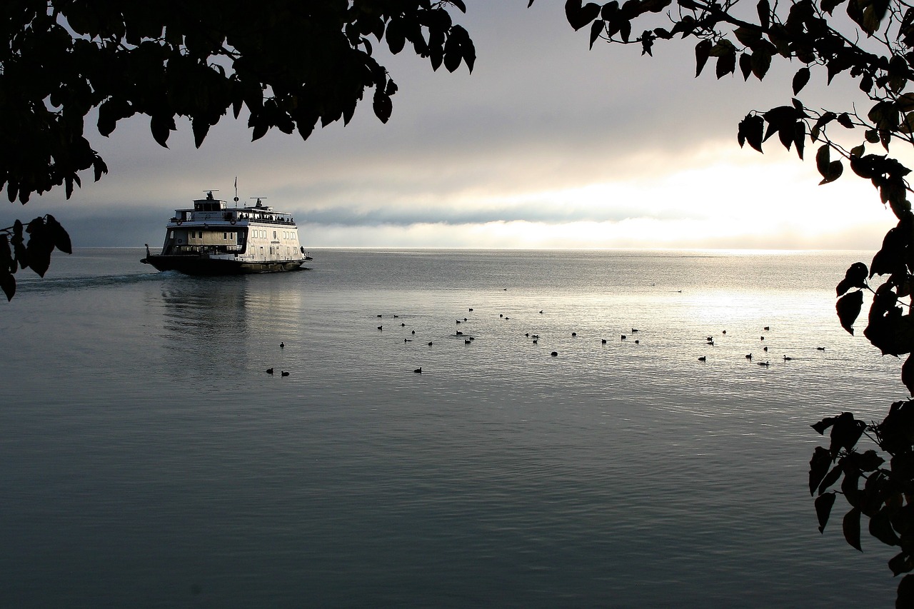 ferry cruise swimming free photo