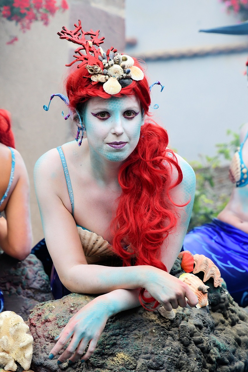 festival  mermaid  disguise free photo