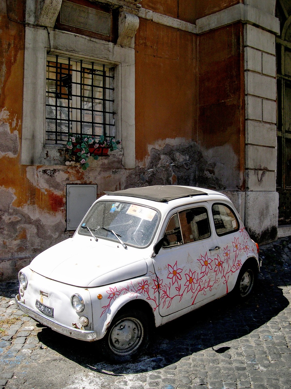 fiat flowers flowered free photo