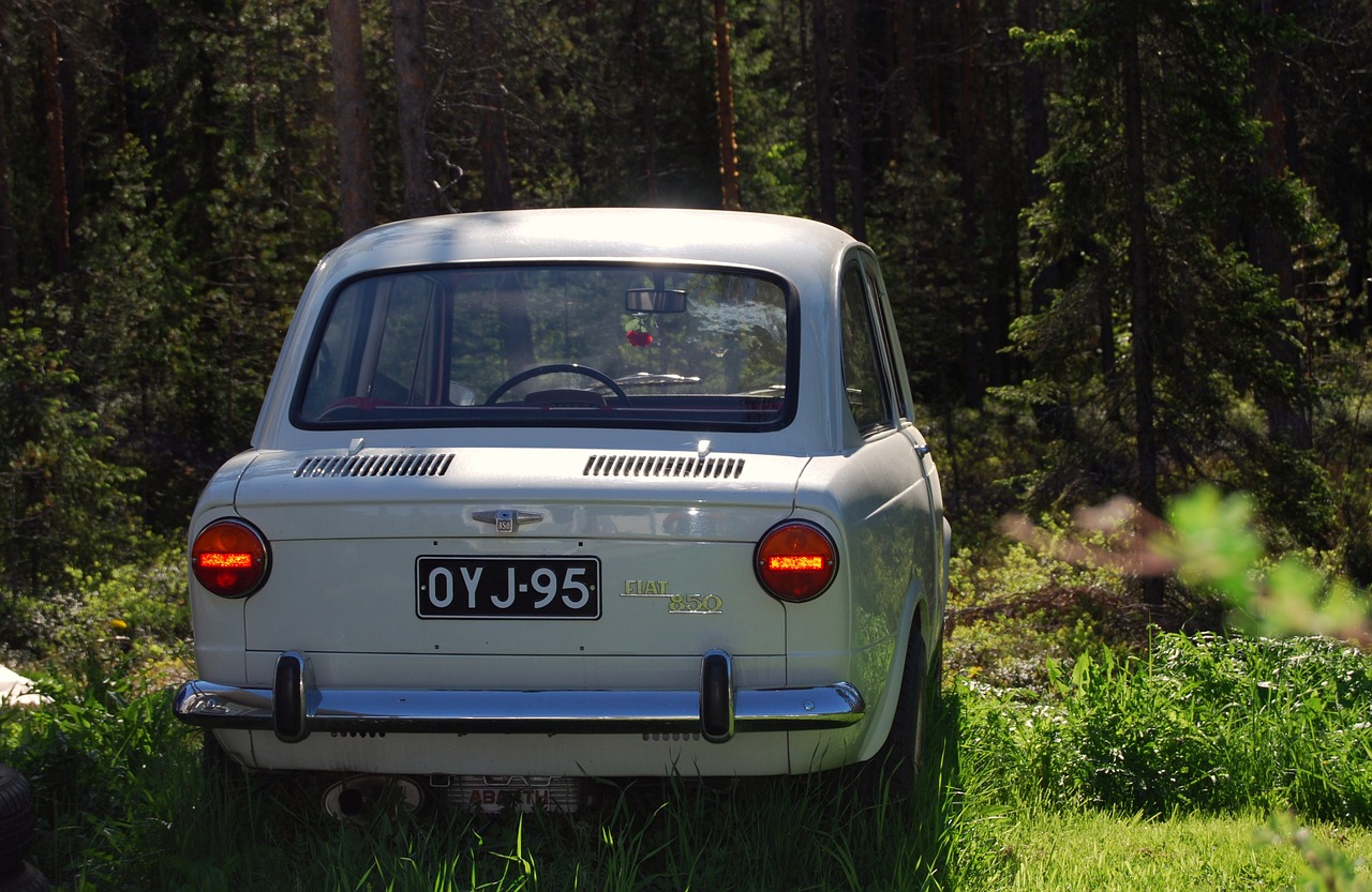 fiat 850 summer old free photo