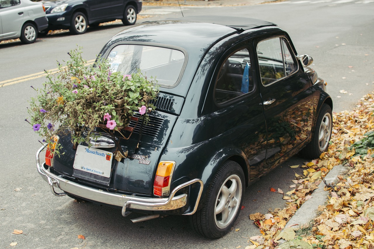 fiat  car  black free photo