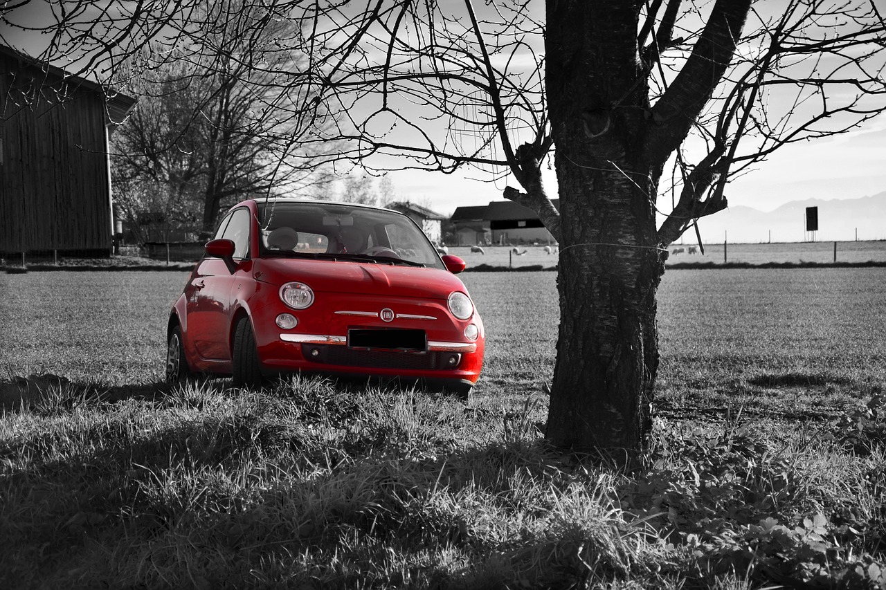 fiat 500 red field free photo