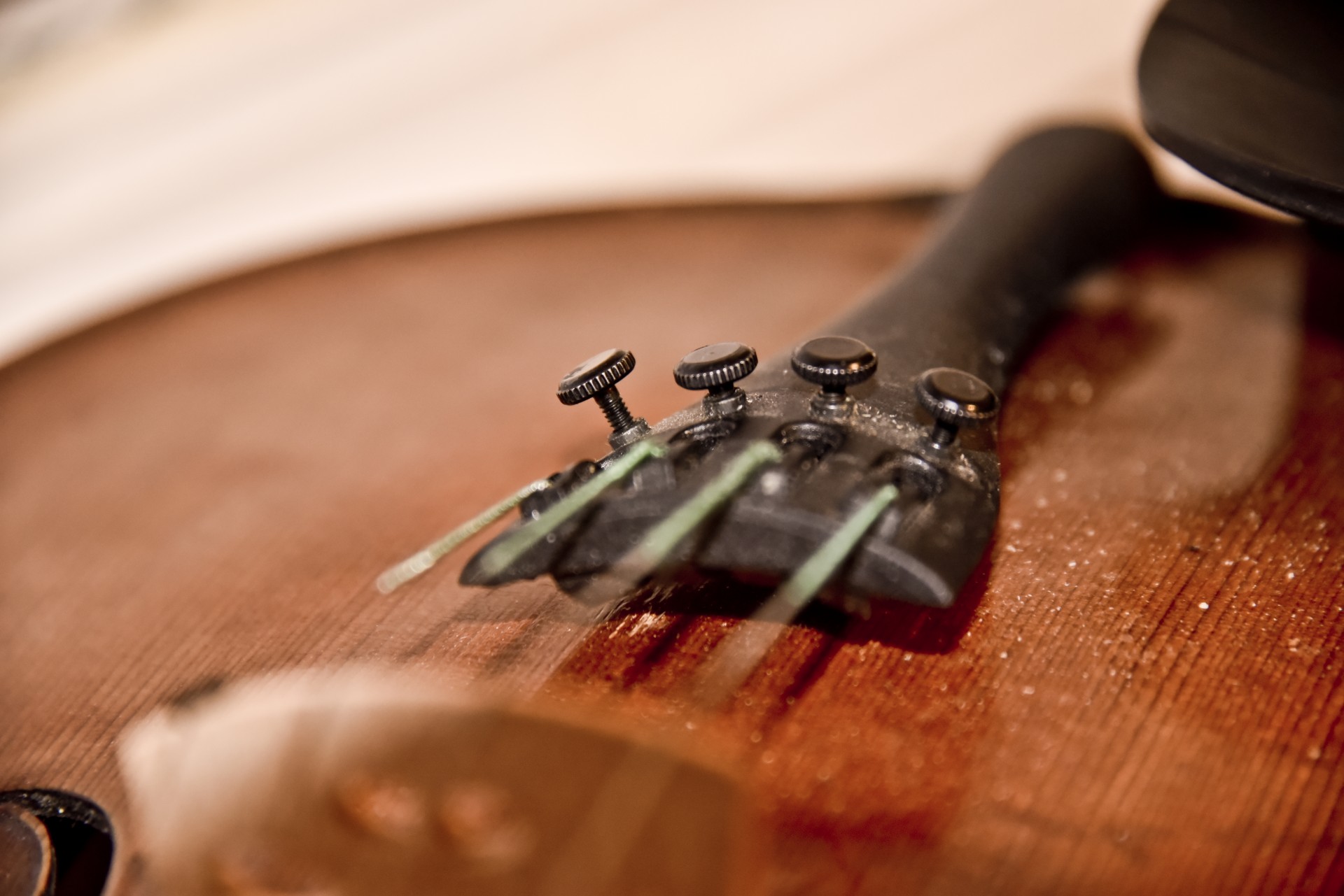 fiddle bridge strings free photo