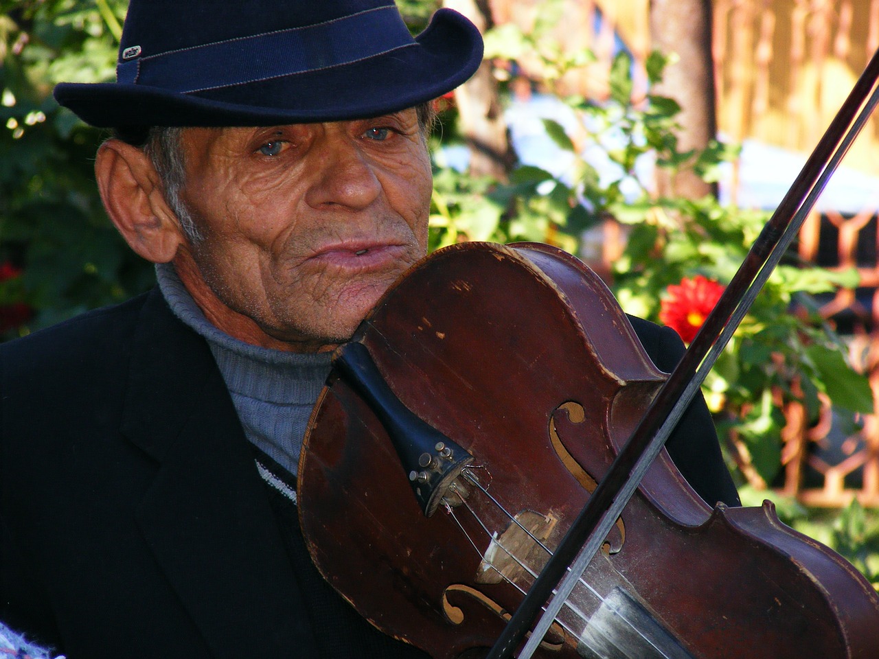 fiddler musician man free photo