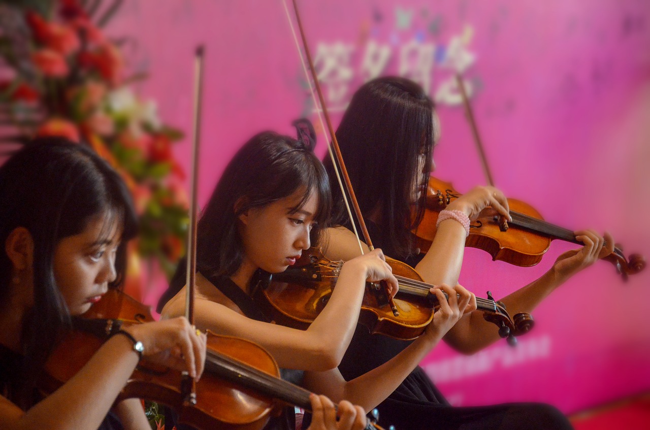 fiddler concert violin free photo