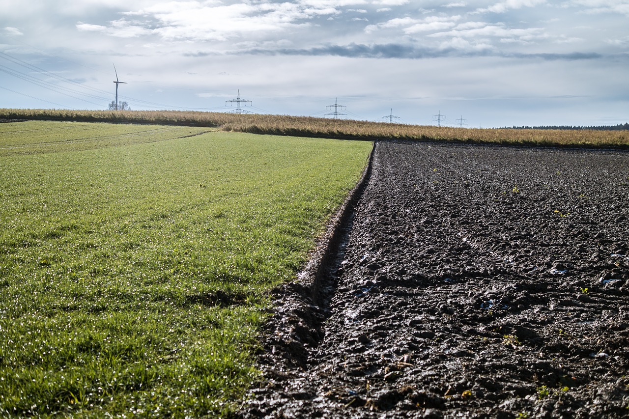 field arable clouds free photo