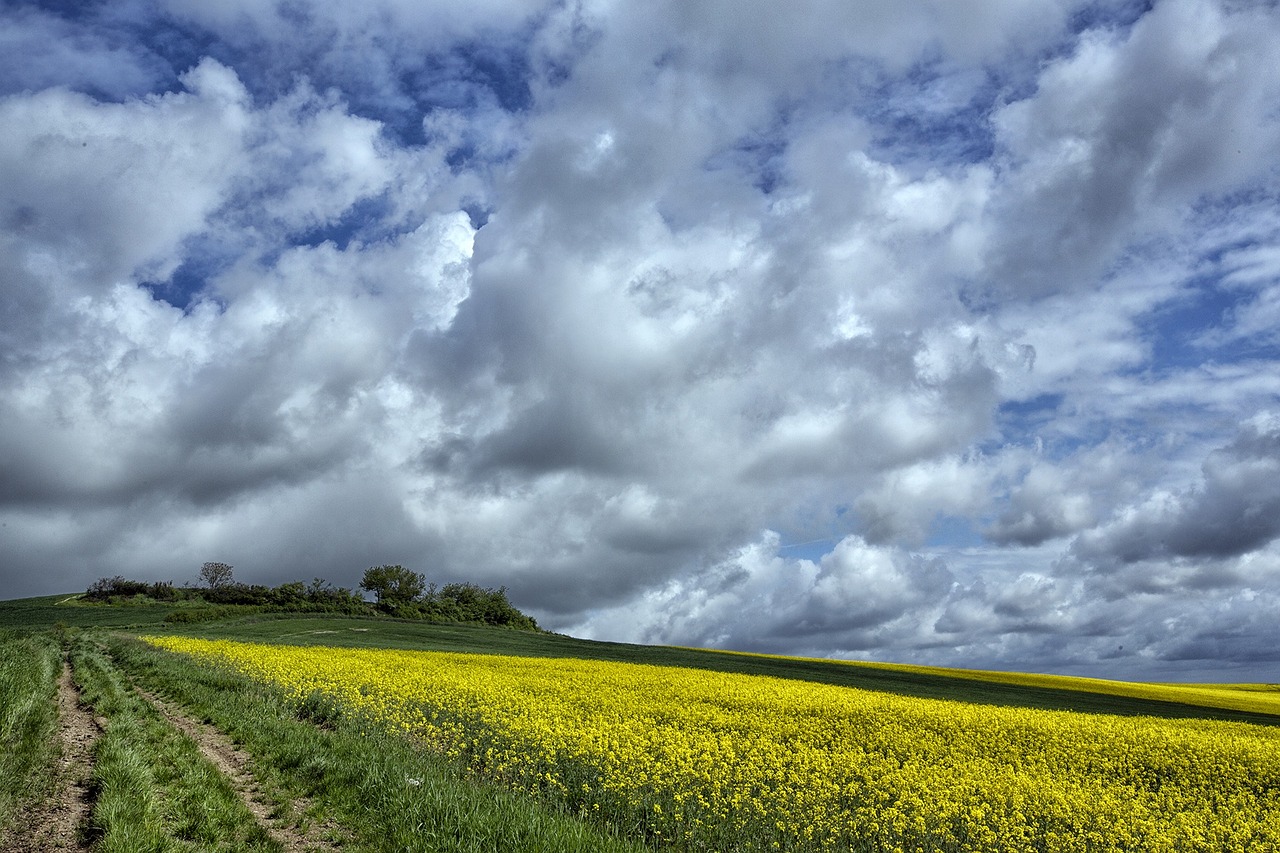 field agricultural clouds free photo