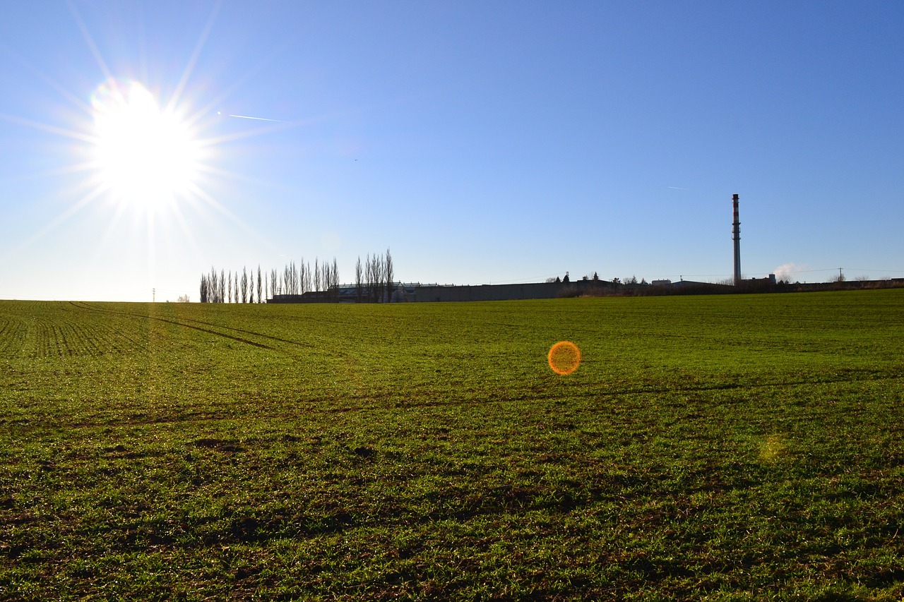 field sun heaven free photo