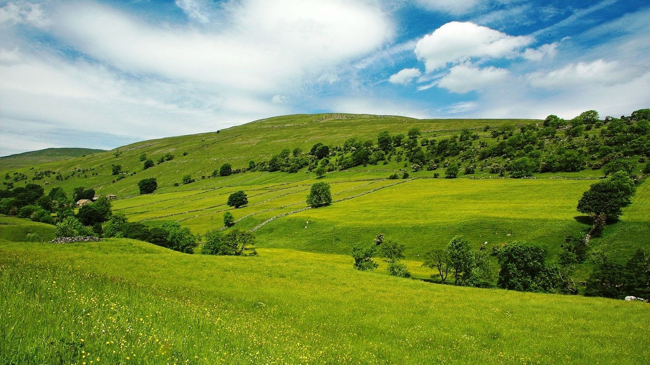 field view the meadow free photo