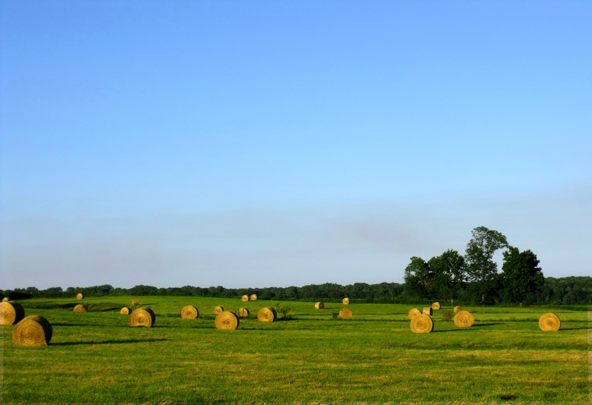 hay field farm free photo