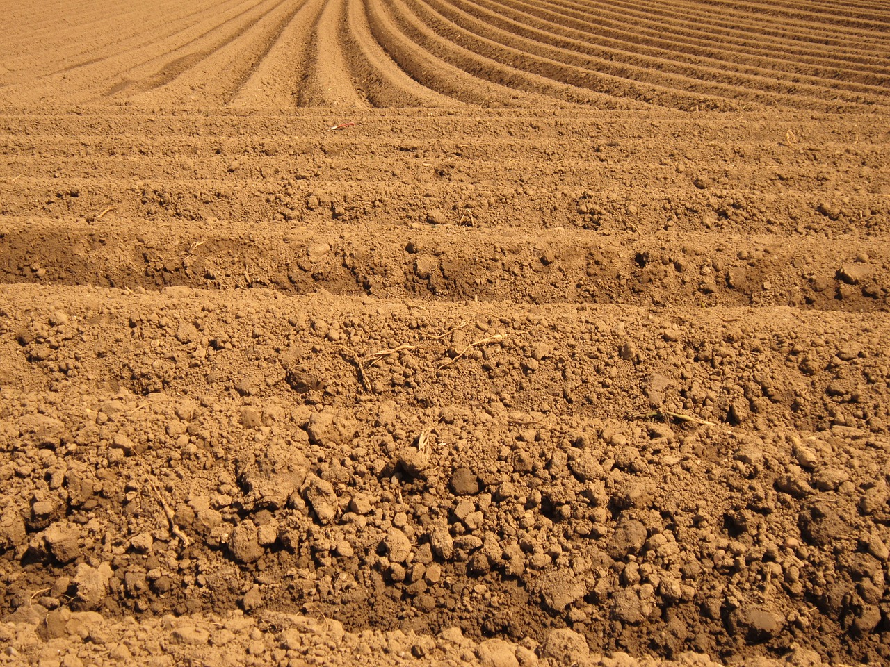 field arable furrow free photo