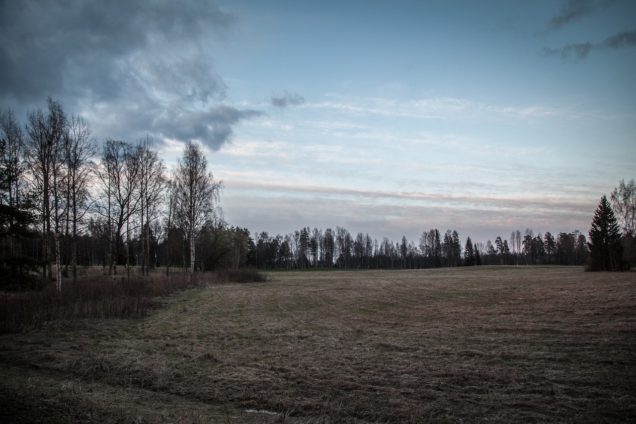 field dark landscape free photo