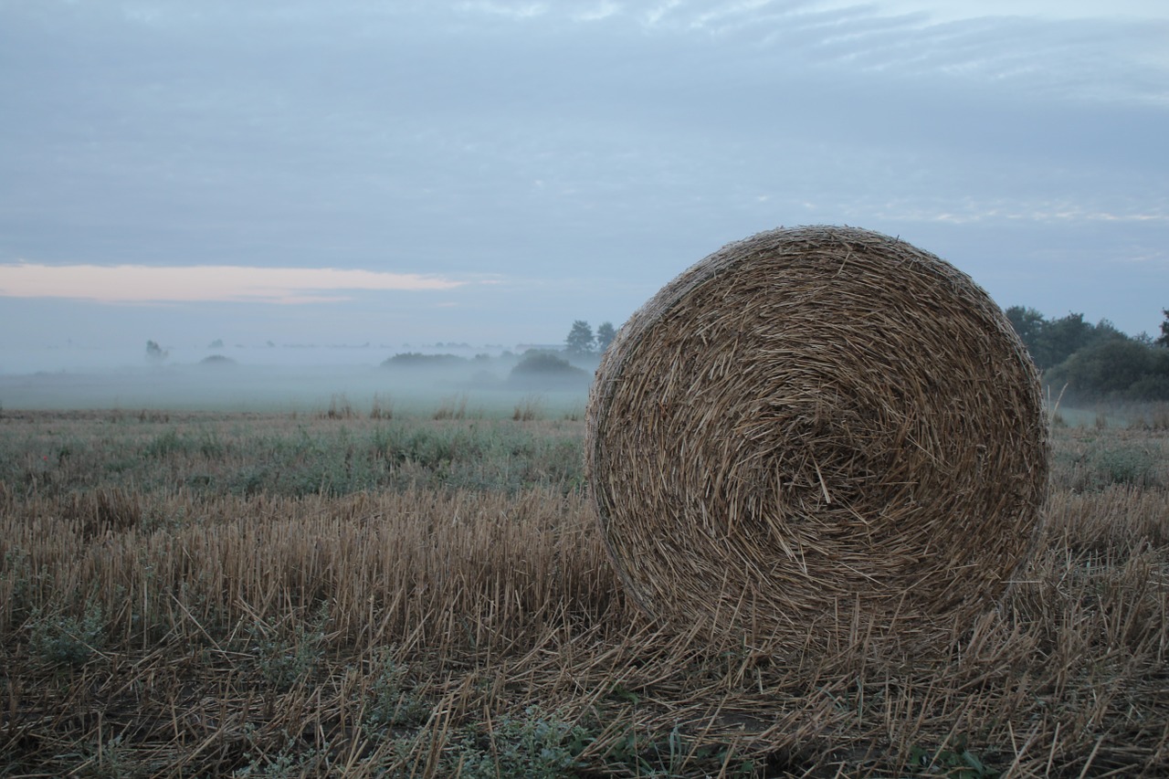 field straw harvest free photo