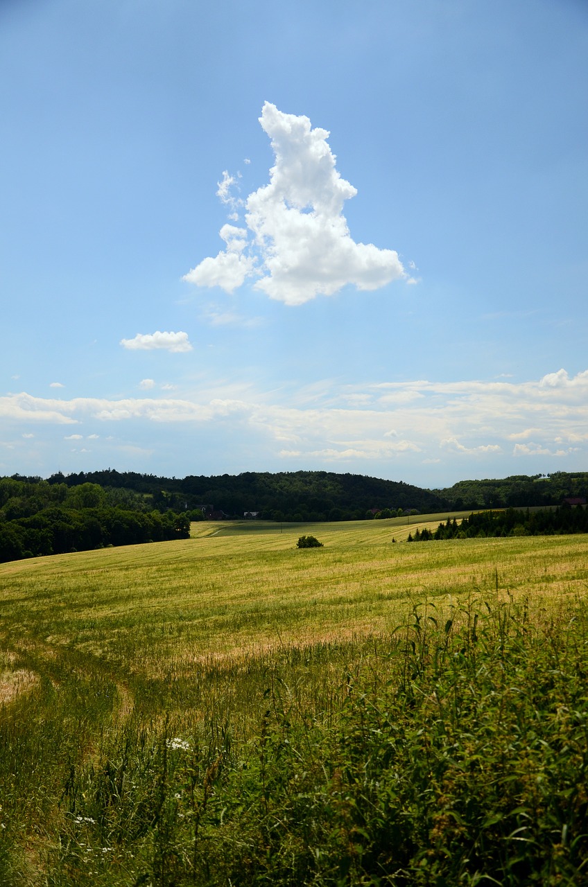 field cloud landscape free photo