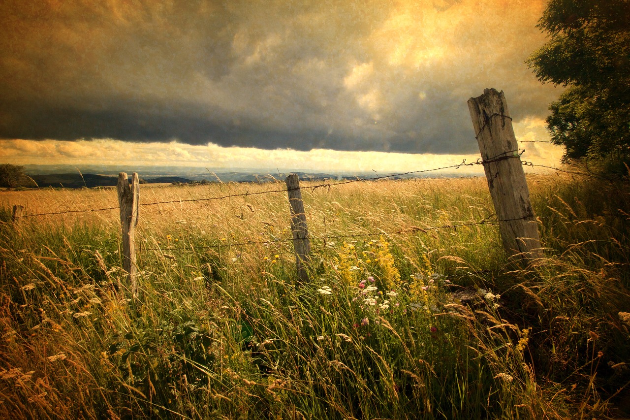 field sky france free photo