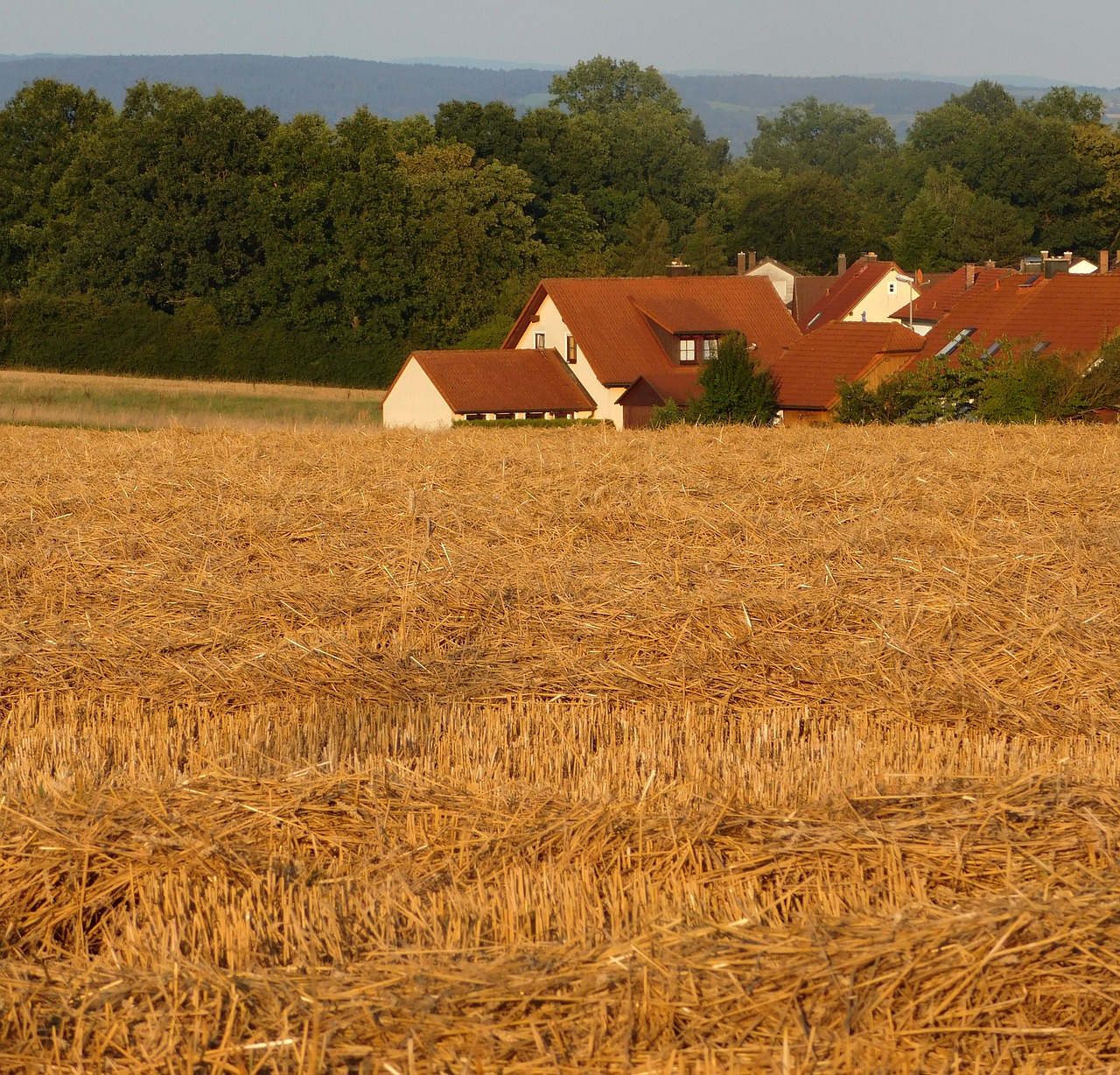 field homes arable free photo