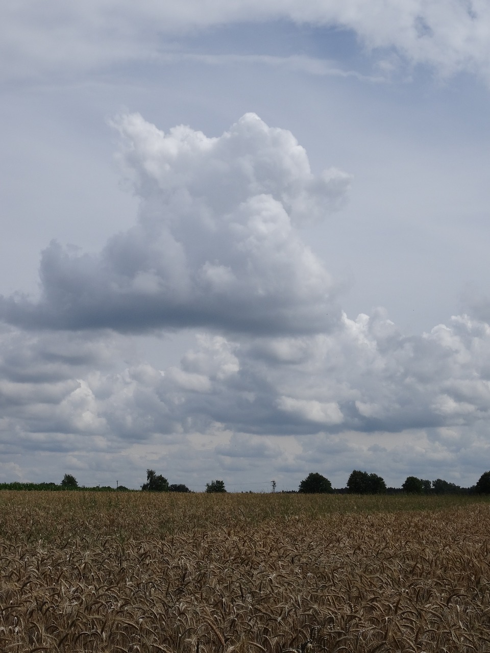 field clouds clouds mountains free photo