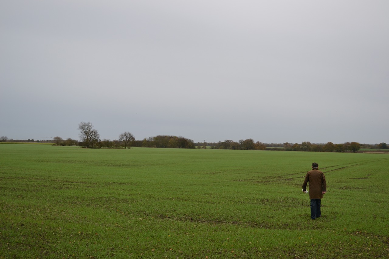 field landscape rural free photo