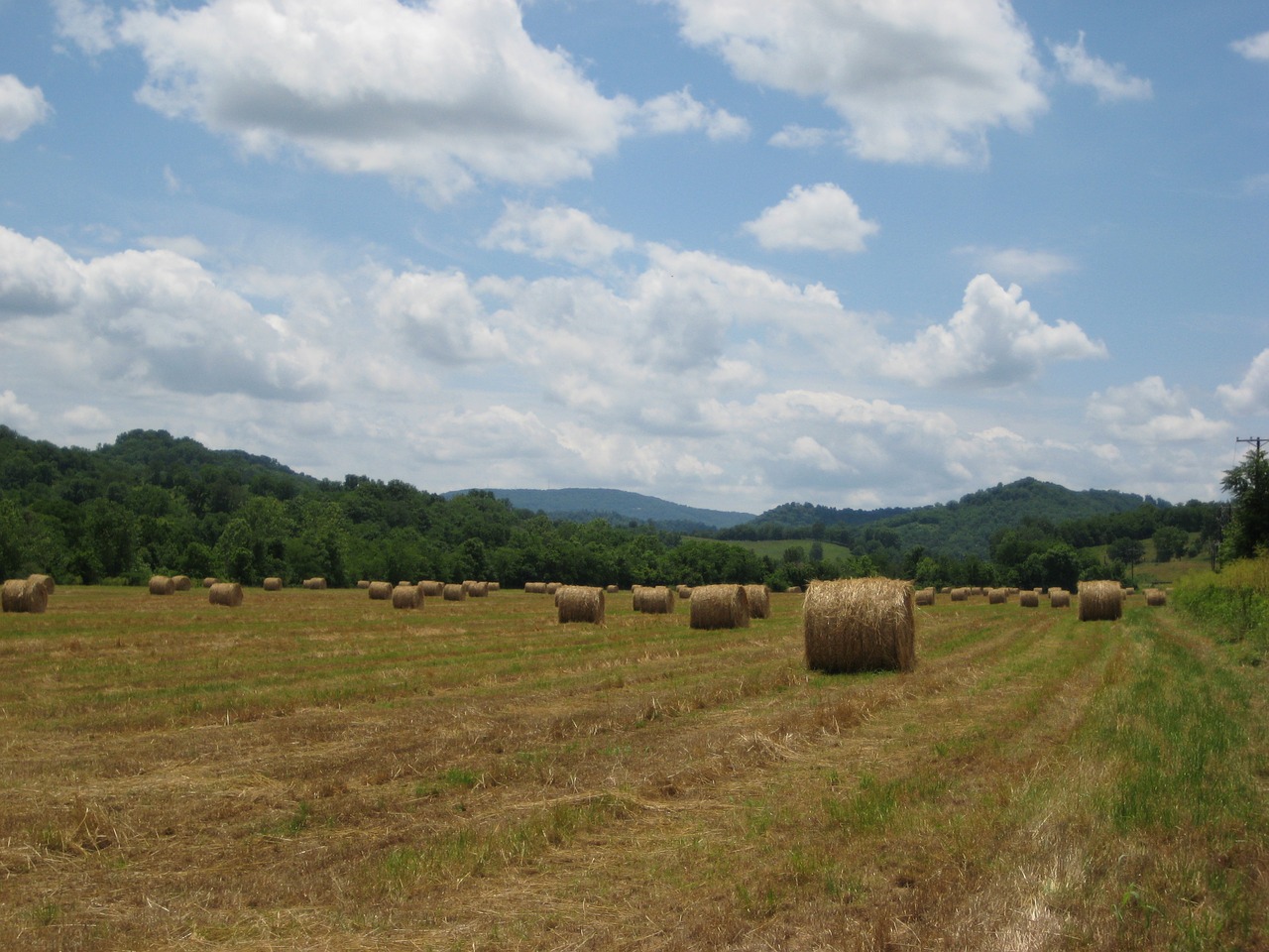 field hay sky free photo