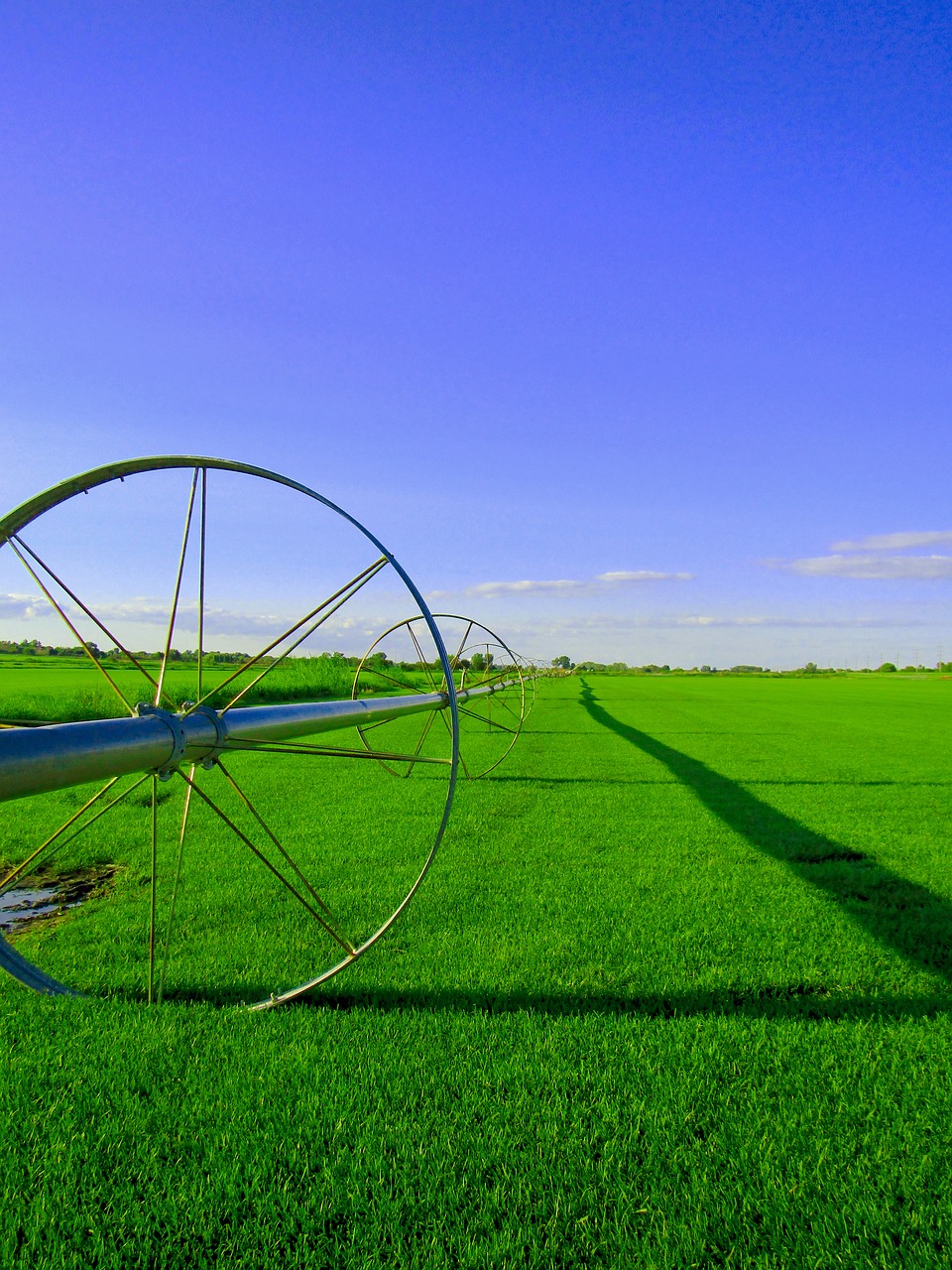 field farm color free photo