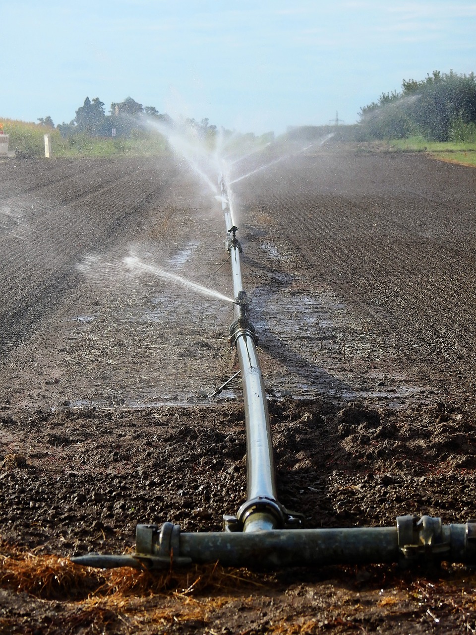 field arable agriculture free photo