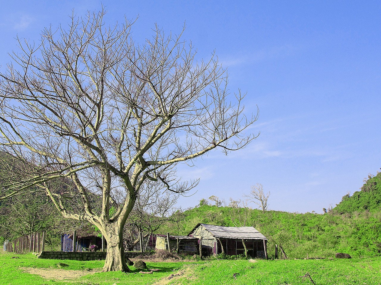 field cottage landscape free photo