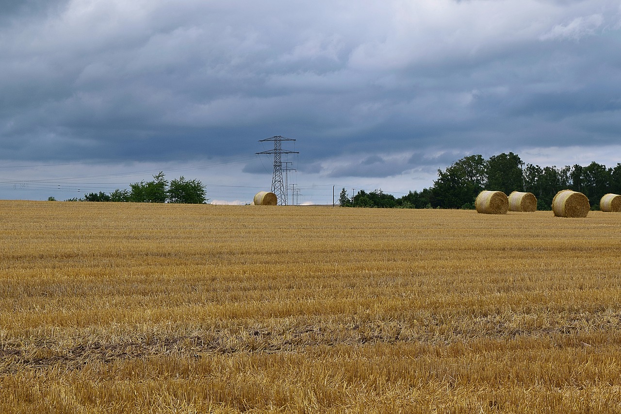 field power line sky free photo