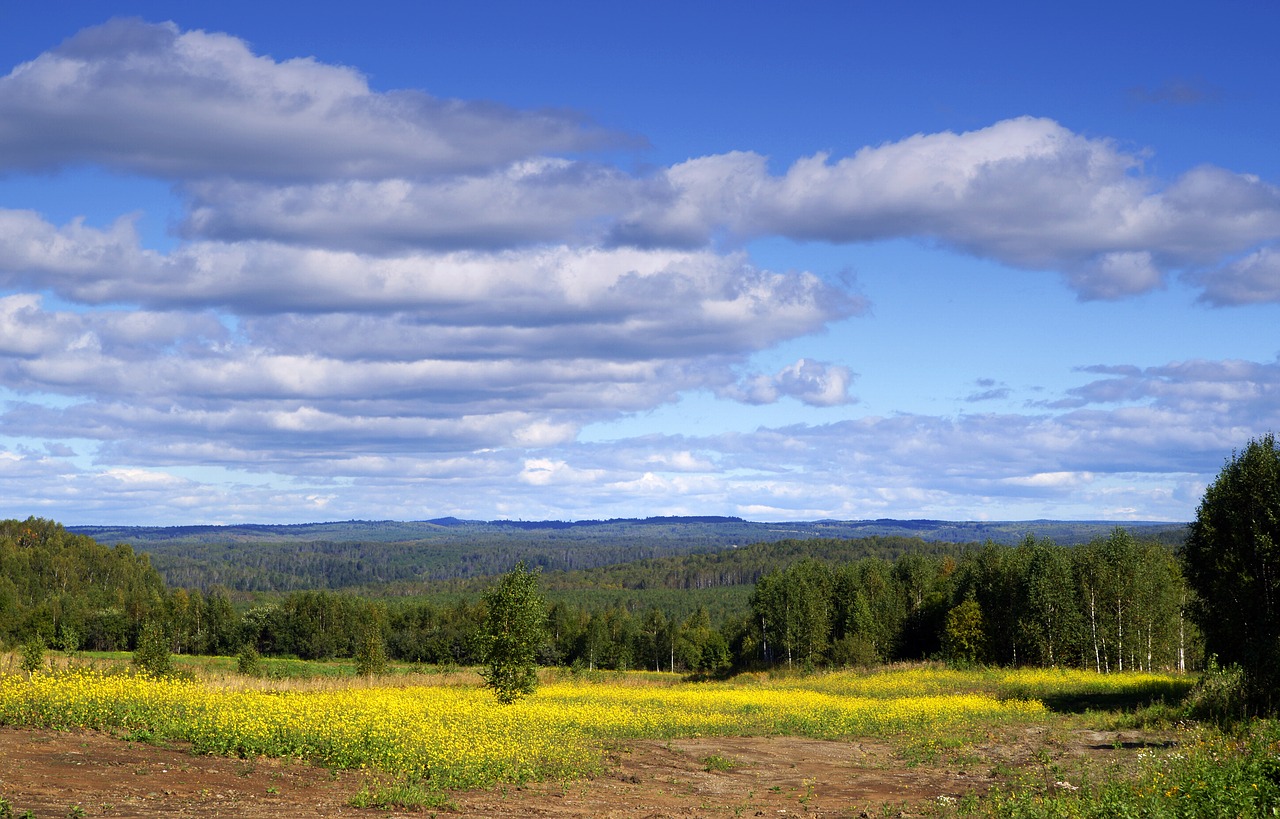 field sky nature free photo