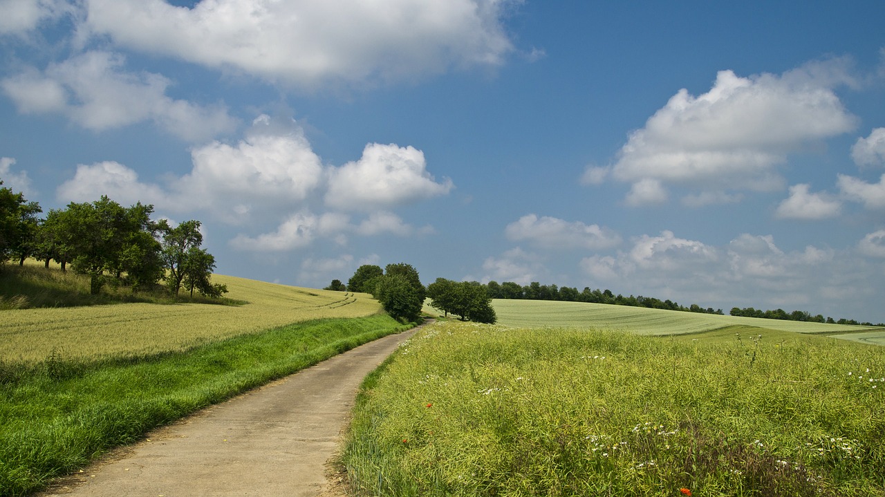 field away summer free photo