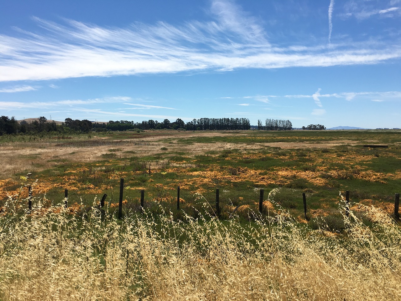 field landscape rural free photo