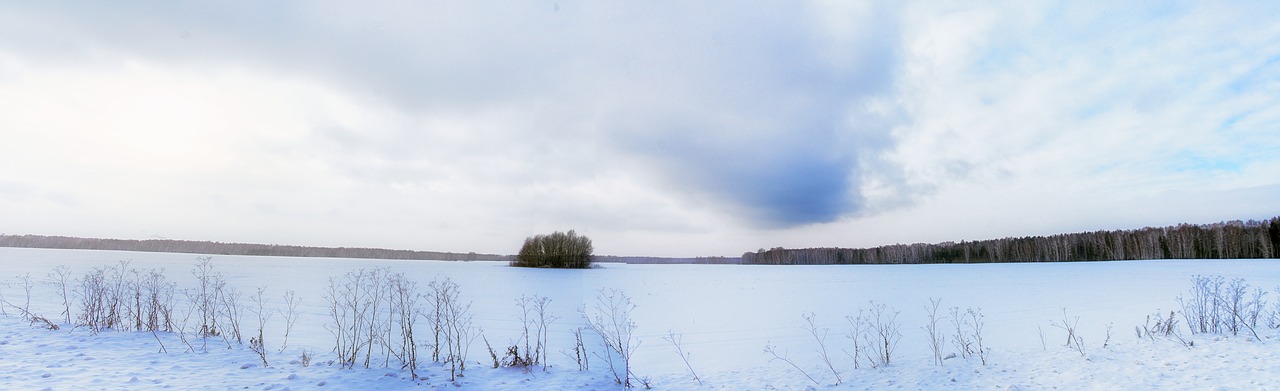 field snow winter free photo