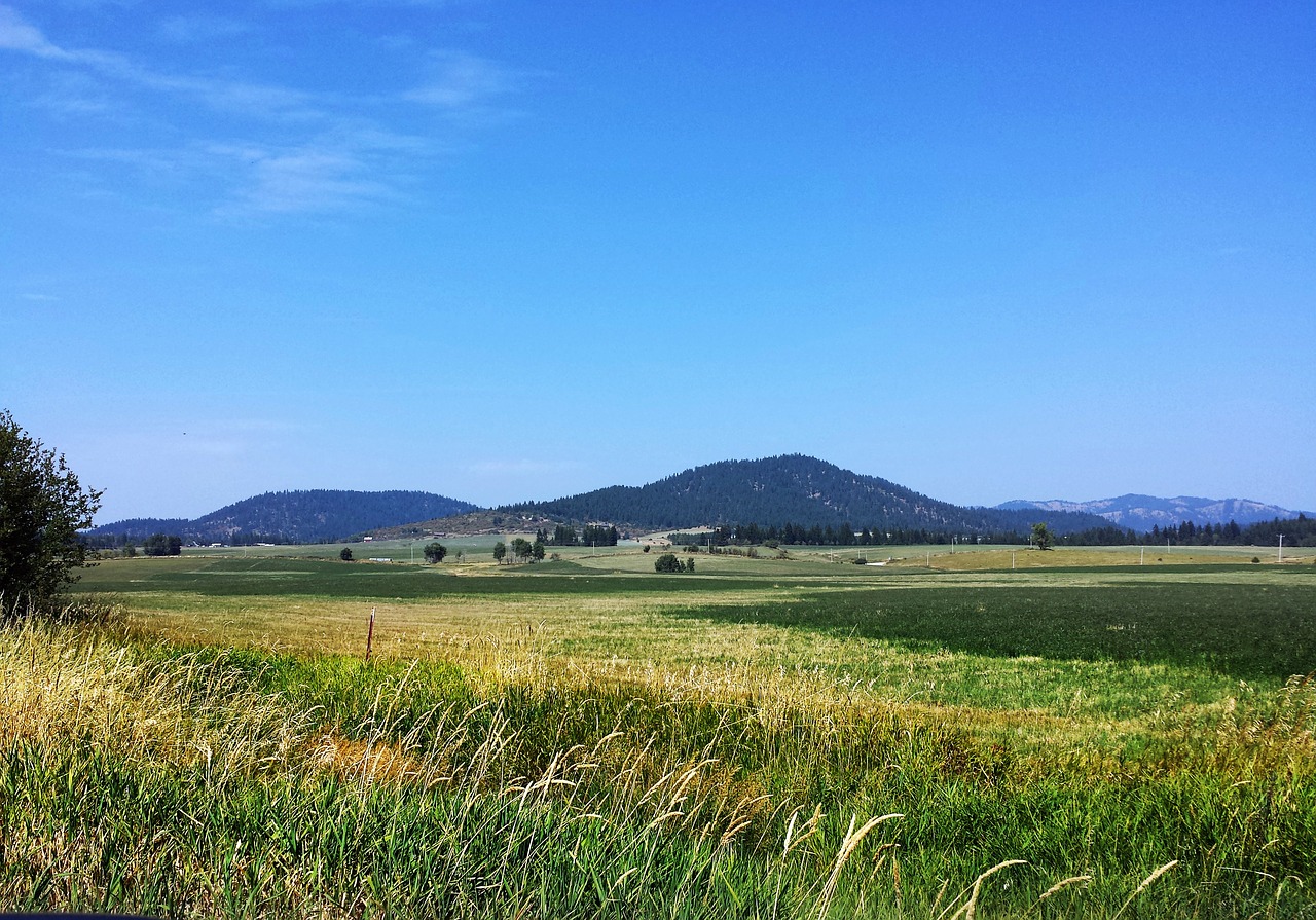 field mountain scenery landscape free photo