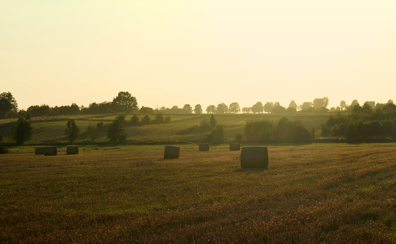 field bales landscape free photo