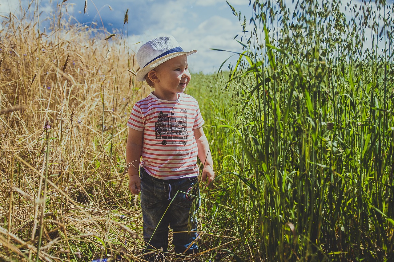 field grass nature free photo