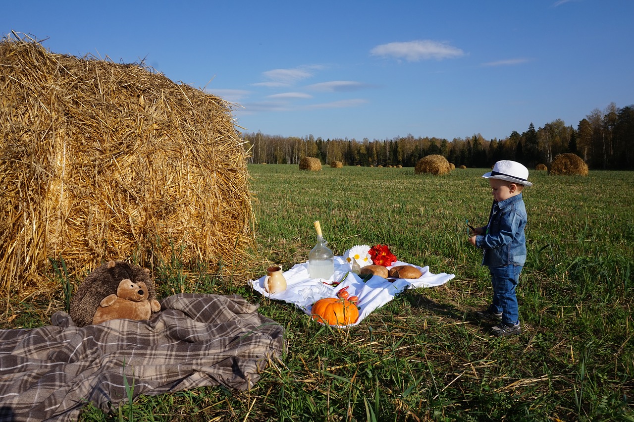 field hay nature free photo